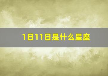 1日11日是什么星座