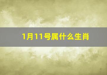 1月11号属什么生肖