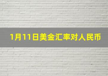 1月11日美金汇率对人民币