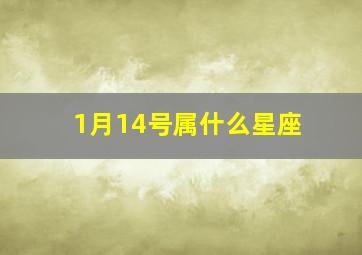 1月14号属什么星座