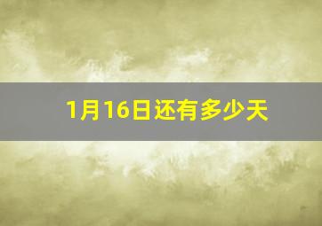 1月16日还有多少天