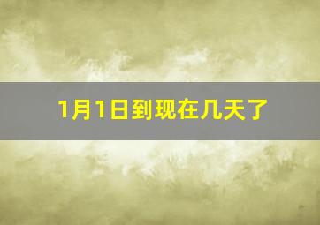 1月1日到现在几天了