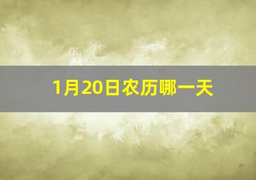 1月20日农历哪一天