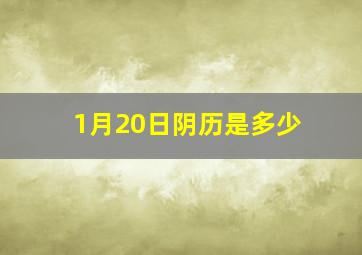 1月20日阴历是多少