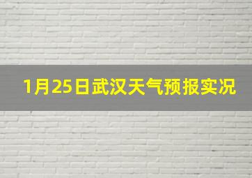 1月25日武汉天气预报实况