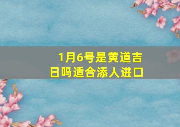 1月6号是黄道吉日吗适合添人进口