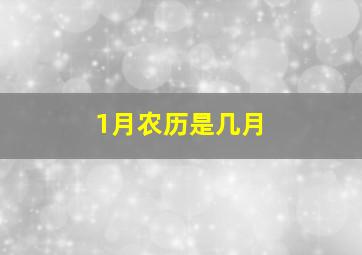 1月农历是几月