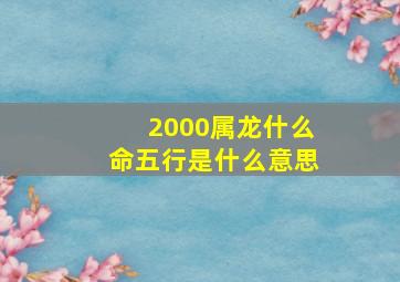 2000属龙什么命五行是什么意思