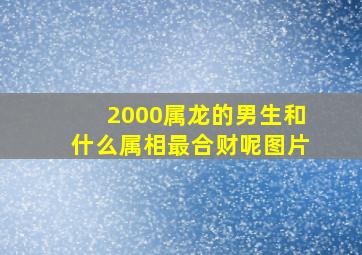 2000属龙的男生和什么属相最合财呢图片