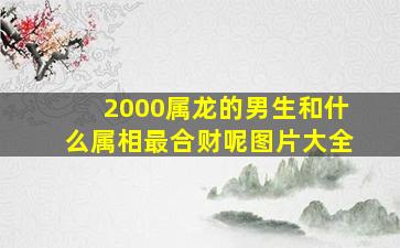 2000属龙的男生和什么属相最合财呢图片大全