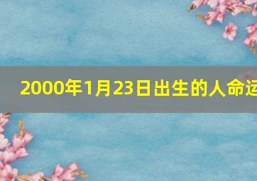 2000年1月23日出生的人命运