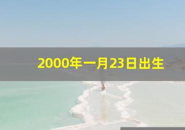 2000年一月23日出生