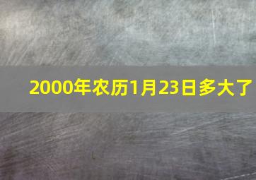 2000年农历1月23日多大了