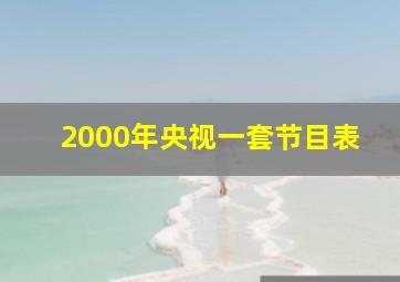 2000年央视一套节目表