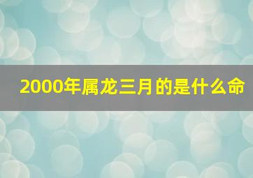 2000年属龙三月的是什么命