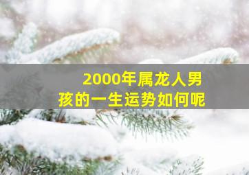 2000年属龙人男孩的一生运势如何呢