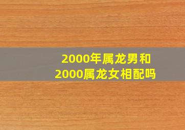 2000年属龙男和2000属龙女相配吗