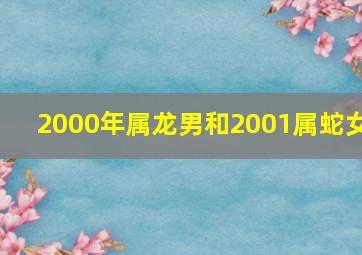 2000年属龙男和2001属蛇女