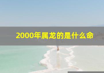 2000年属龙的是什么命