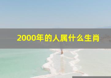 2000年的人属什么生肖