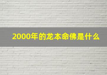 2000年的龙本命佛是什么