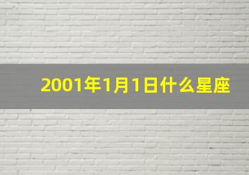 2001年1月1日什么星座