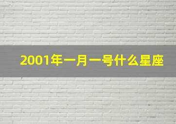 2001年一月一号什么星座