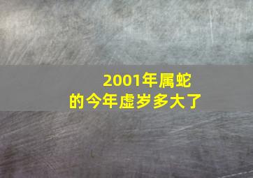 2001年属蛇的今年虚岁多大了