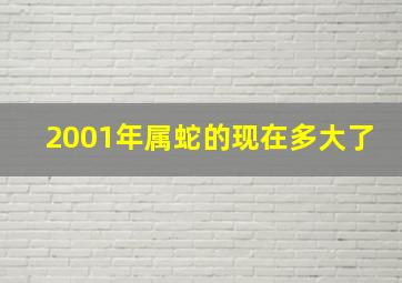 2001年属蛇的现在多大了