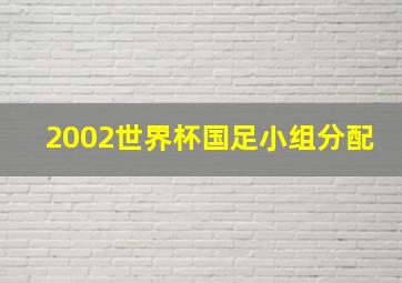 2002世界杯国足小组分配