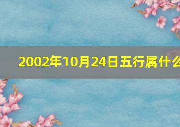 2002年10月24日五行属什么