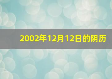 2002年12月12日的阴历