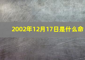 2002年12月17日是什么命