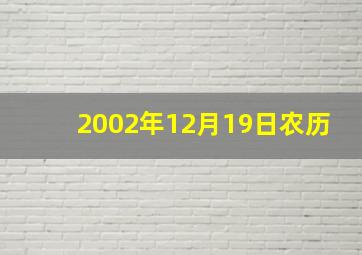 2002年12月19日农历