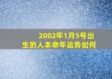 2002年1月5号出生的人本命年运势如何