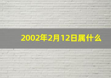 2002年2月12日属什么