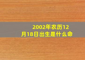 2002年农历12月18日出生是什么命