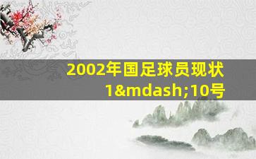 2002年国足球员现状1—10号