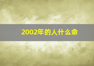 2002年的人什么命