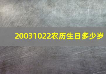 20031022农历生日多少岁