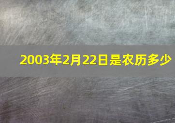 2003年2月22日是农历多少