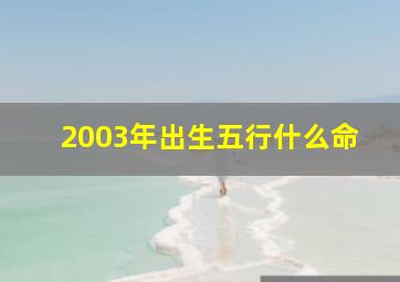 2003年出生五行什么命