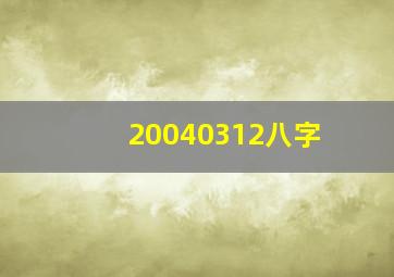 20040312八字