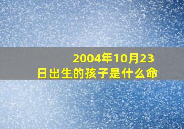 2004年10月23日出生的孩子是什么命