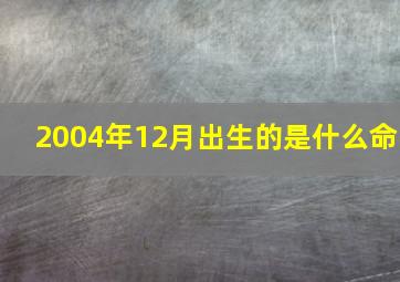 2004年12月出生的是什么命