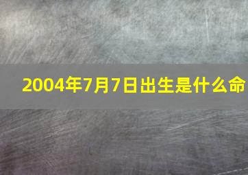 2004年7月7日出生是什么命