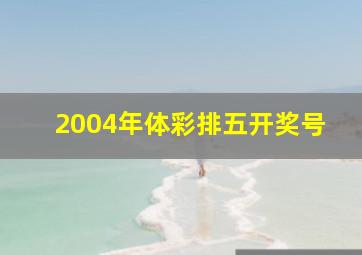 2004年体彩排五开奖号