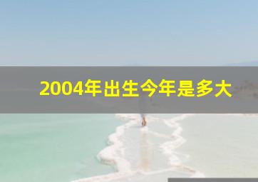 2004年出生今年是多大