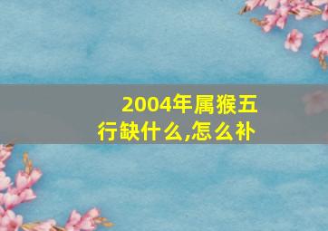 2004年属猴五行缺什么,怎么补