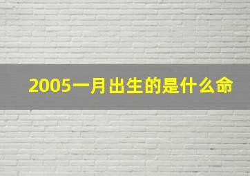 2005一月出生的是什么命